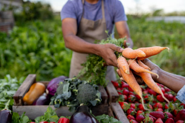 Farmers Are Better Than Traders