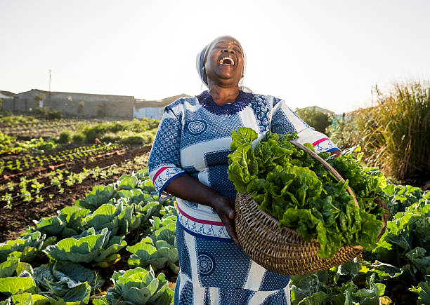 Farmers Are Better Than Traders