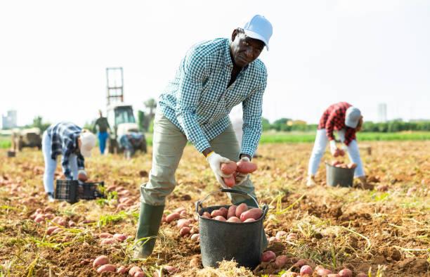 Farmers Are Better Than Traders