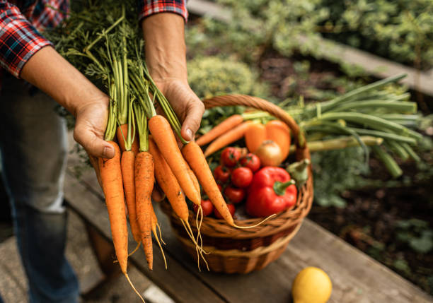 Farmers Are Better Than Traders